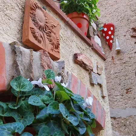 The Four Angels Holiday home Massa (Tuscany)