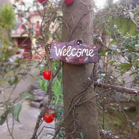 Hébergement de vacances The Four Angels